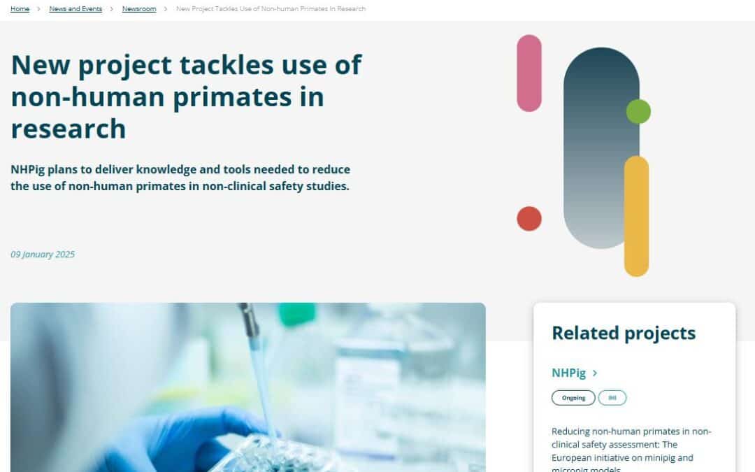 New project tackles use of non-human primates in research
