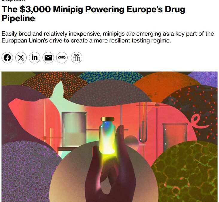 NHPig featured in Bloomberg article on Europe’s drug development strategy